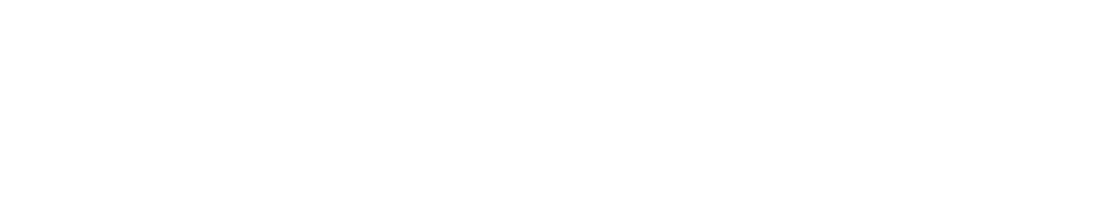VIVO TERRA